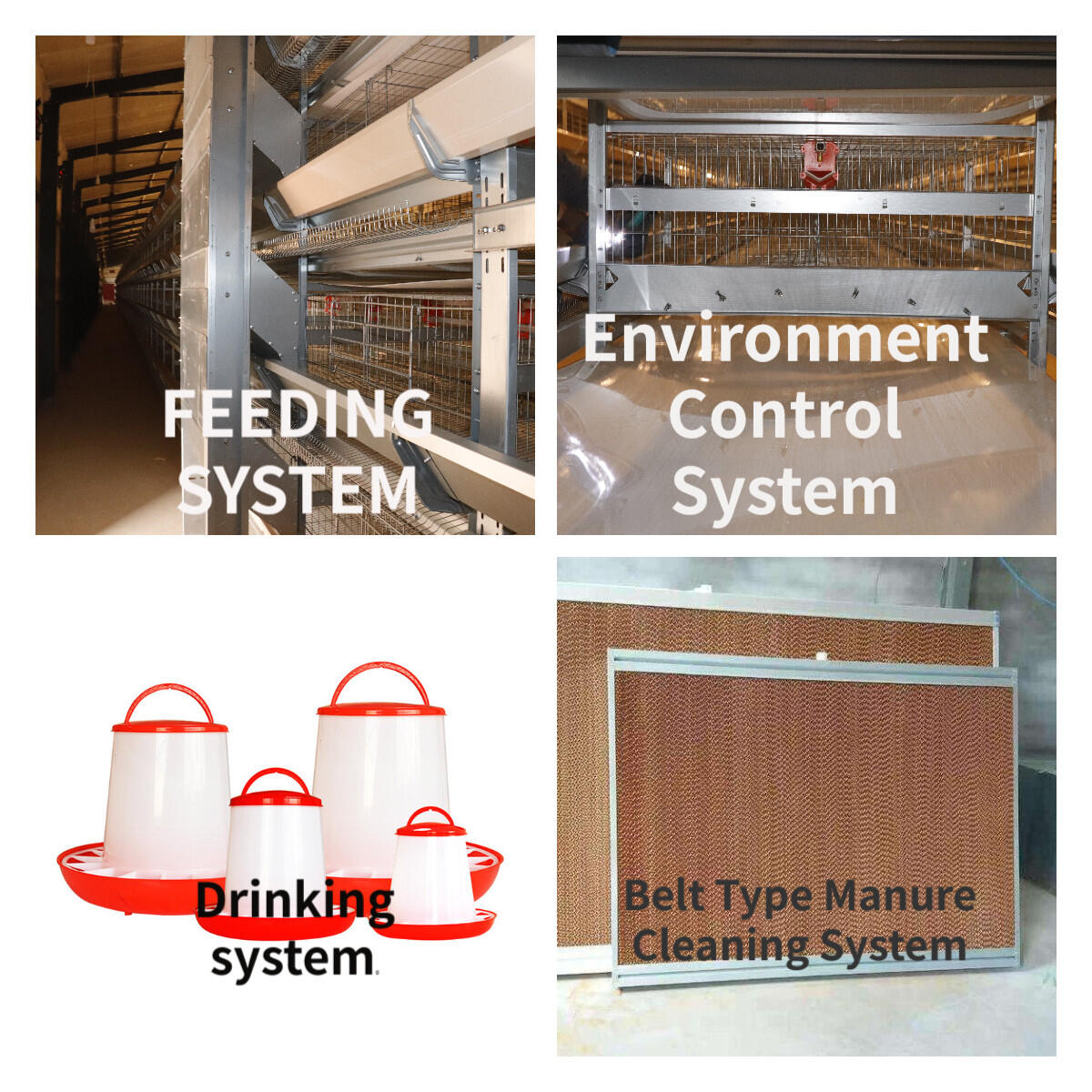 Poultry Transport Cage Poultry Feeder and Drinker Breeding Fans, Water Curtains Feed Plastic Shovel
